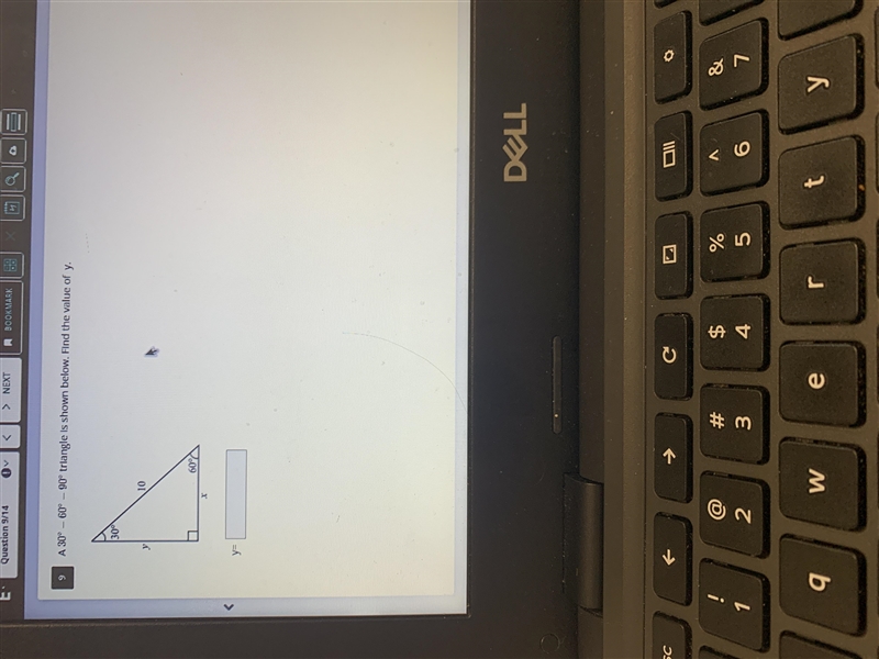 Find the value of Y in the triangle shown below-example-1