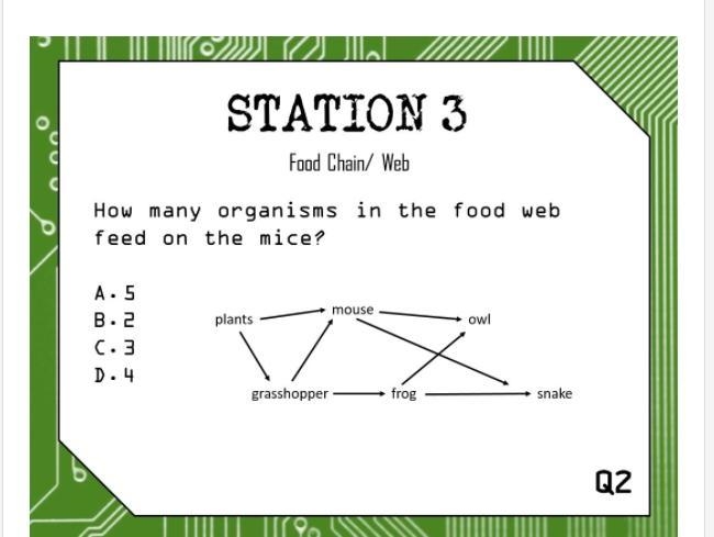 How many organisms in the food web feed on the mice-example-1