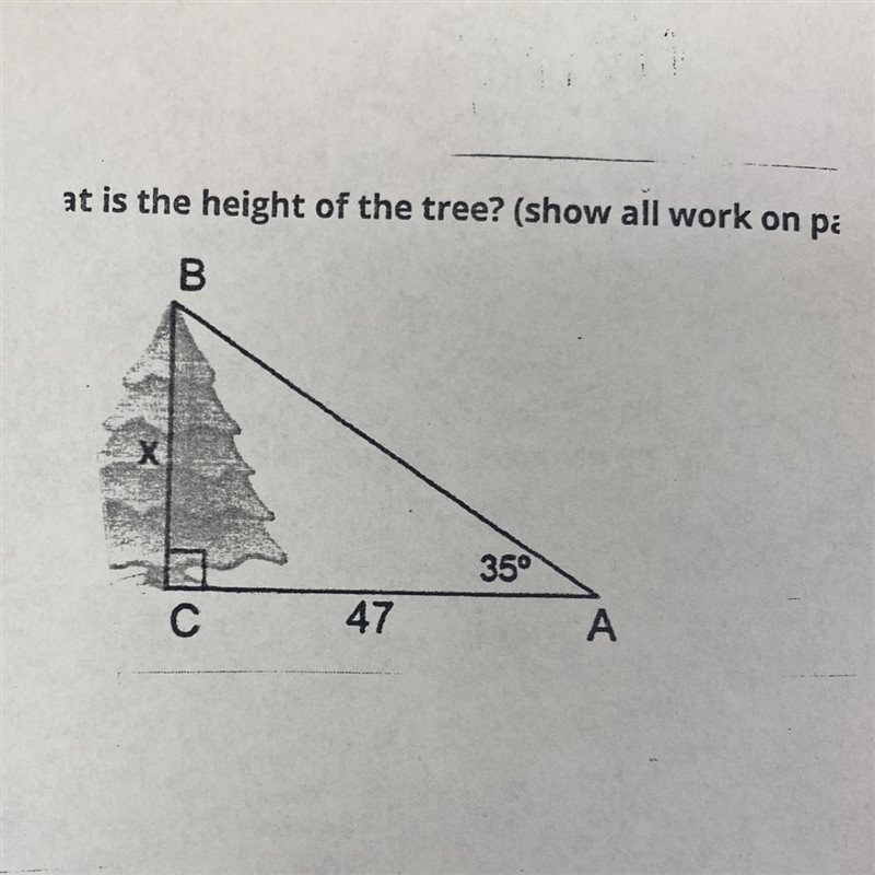 What is the height of the tree show all work-example-1