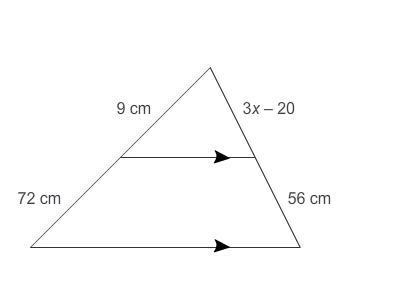 What is the value of x?-example-1