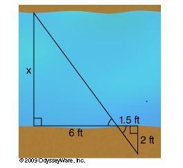 Use similar triangles to find the value of x. 9 feet 0.5 feet 8 feet 4.5 feet-example-1