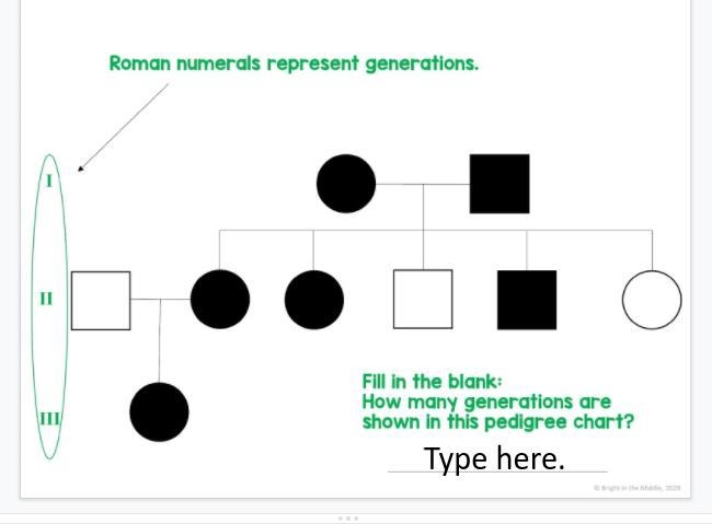 Please help me please-example-1