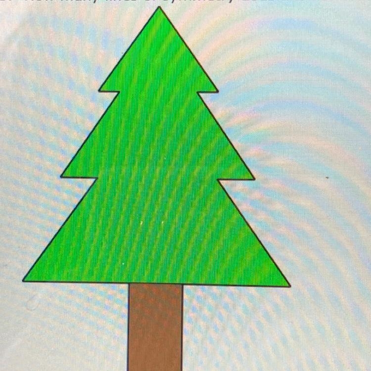 5. How many lines of symmetry does a tree have?-example-1