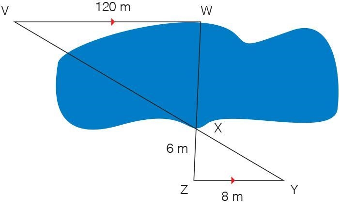 You can calculate the width of the lake using a surveying technique, as shown in the-example-1