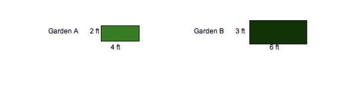 Lucy planted two gardens in her backyard. The gardens are similar rectangles. She-example-1