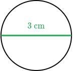 What is the circumference of the following circle? Use 3.14 for \piπpi and enter your-example-1