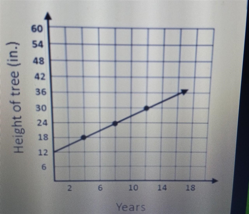 Keith bought a tree for his backyard. The graph shows the height of the tree after-example-1