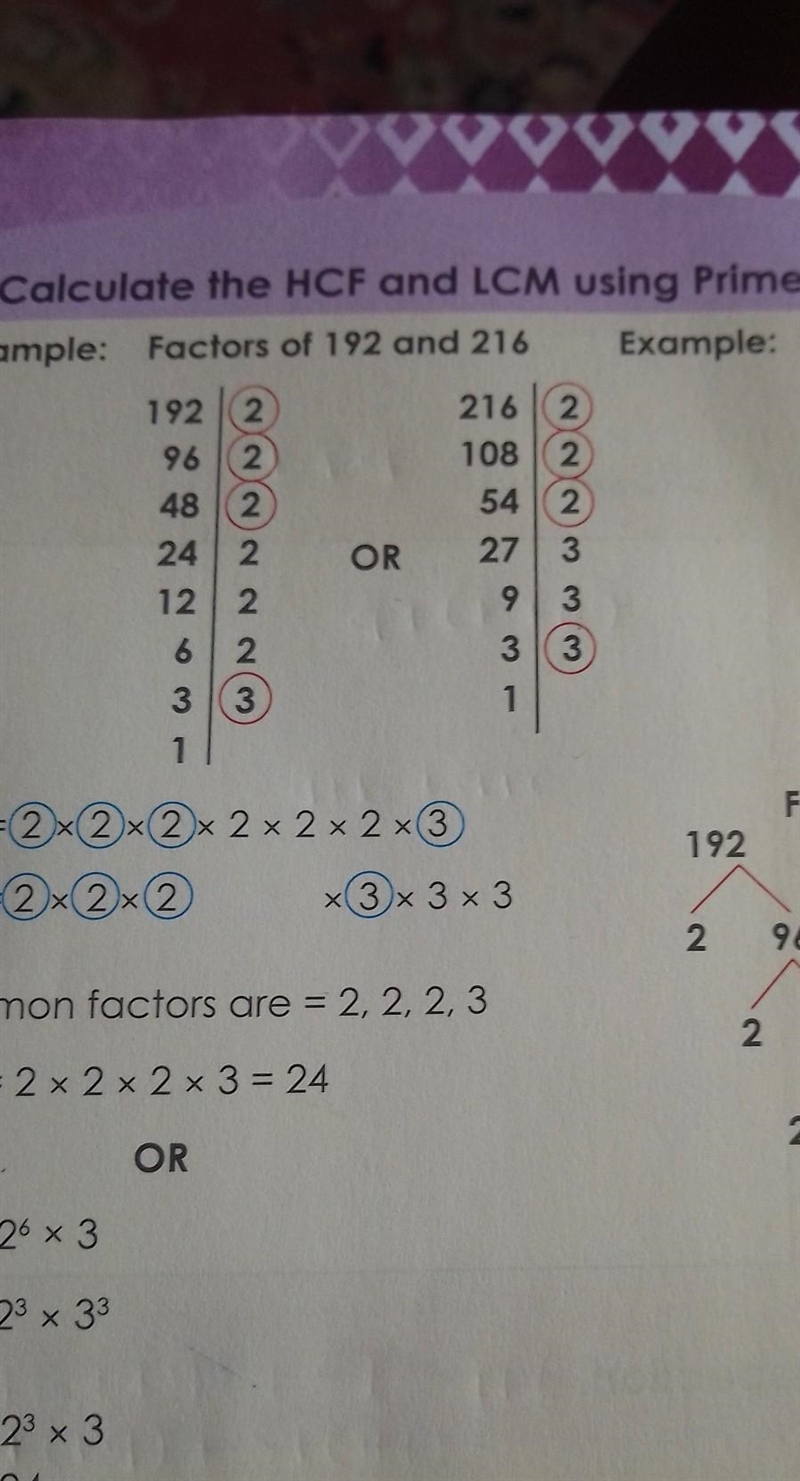 Calculate the HCF and LCM using prime factorisation 208 \: and \: 234 ​-example-1