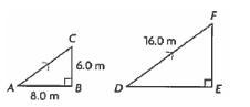 Two poles of different heights are used for a climbing event and need to be secured-example-1