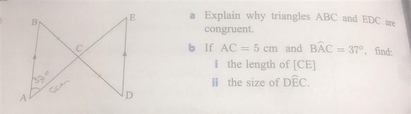 I really need help asap!!!-example-1