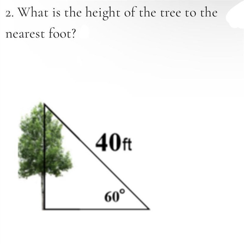 What is the height of the tree to the nearest foot? 20 34 35 which one of those choices-example-1