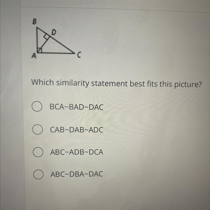 Please help!! which similarity statement best fits this picture-example-1