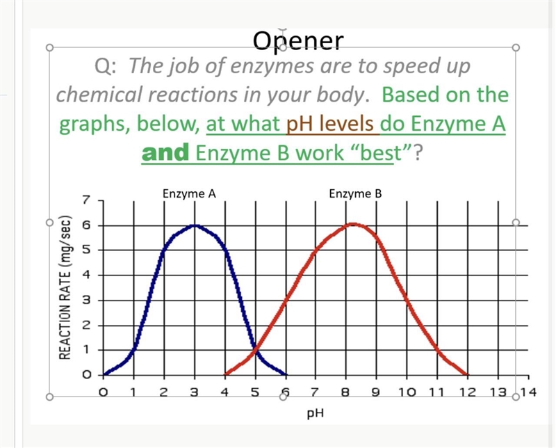 What is the Anwser.-example-1