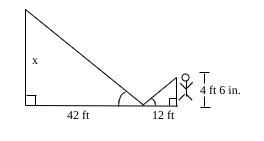 Explain why the triangles are similar. Then find the distance represented by x. hurry-example-1