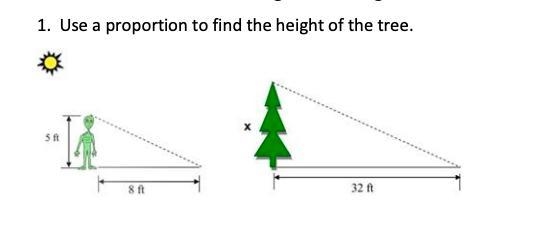 1. Use a proportion to find the height of the tree.-example-1