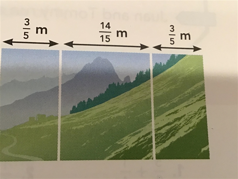 Hector is hanging a 3-panel photo on the wall. He wants to leave 1/3 meter between-example-1