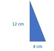 How much space does the triangle cover? 24 square cm 16 square cm 6 square cm 48 square-example-1