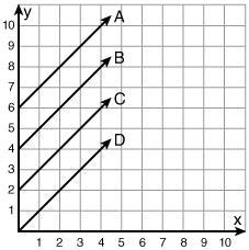 Which line is the graph of the function y = x + 6? line A line D line B line C-example-1