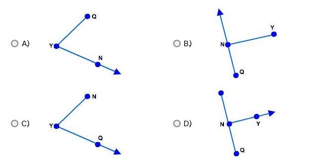 (20 POINTS) Which picture shows the ray NY?-example-1