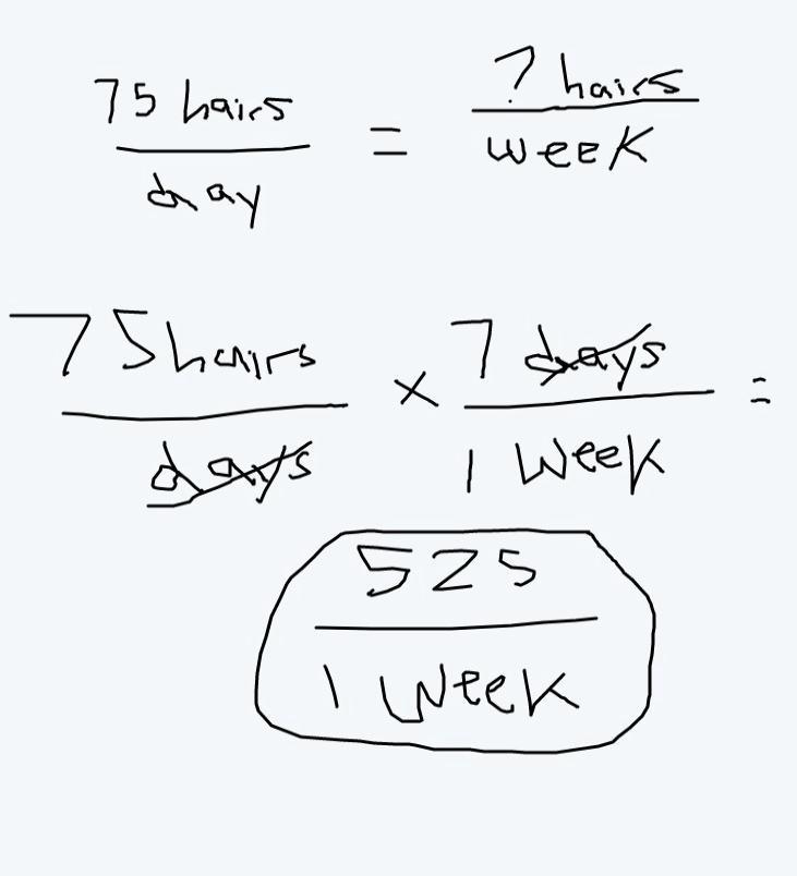 Suppose a certain breed of dog loses about 75 hairs per day. What integer represent-example-1