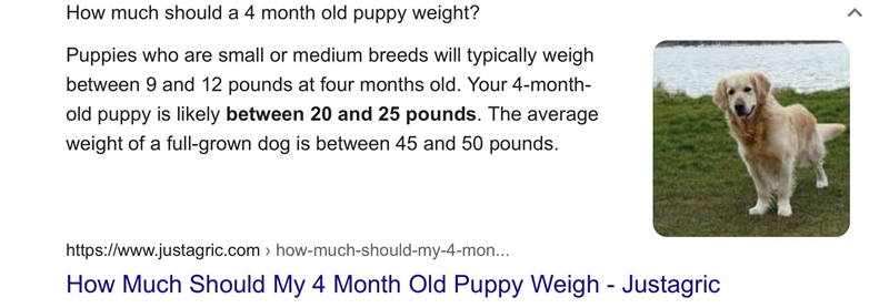 Use the equation above to determine the estimated age, in months, of a puppy that-example-2