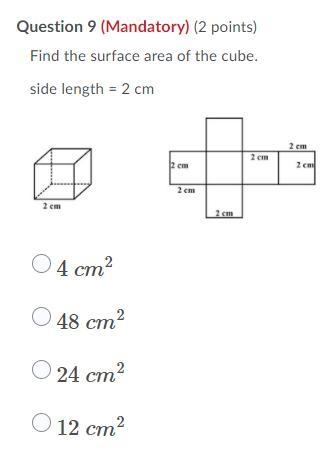 Find the surface area of the cube-example-1