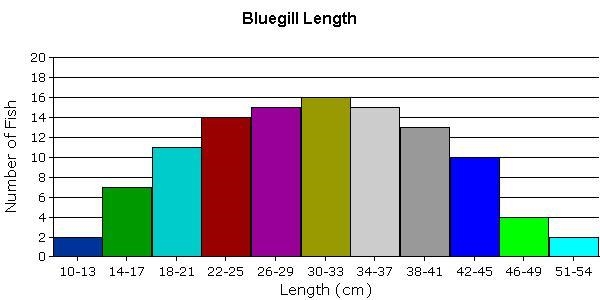 A wildlife society is taking a sampling of the lengths of bluegill fish at a local-example-1