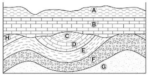 Part 1: (8 pts) In column A, the layers above are in order from youngest to oldest-example-1