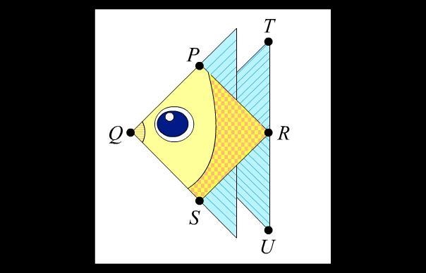 (20 POINTS) This diagram shows an origami fish. The fish has been labeled to show-example-1