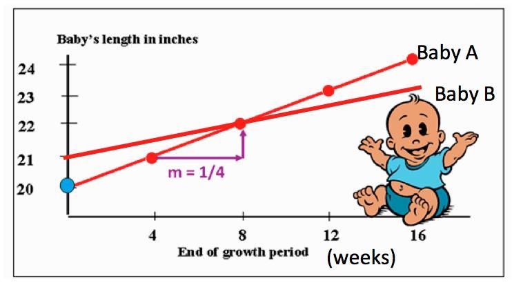 It is now 12 weeks after both babies was born. Which statement is true? A) Baby A-example-1