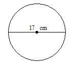 10. Find the circumference of the circle. Use 3.14 for pi. Round to the nearest unit-example-1