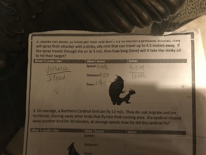 Skunks Run about 10 MPH and won’t try to outrun a predator. Instead, they will spray-example-1