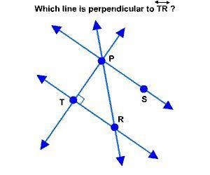 (PLS HELP) Choices: A. PS B. RP C. PT D. TS-example-1