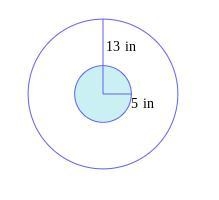 A dart hits the circular dartboard shown below at a random point. Find the probability-example-1