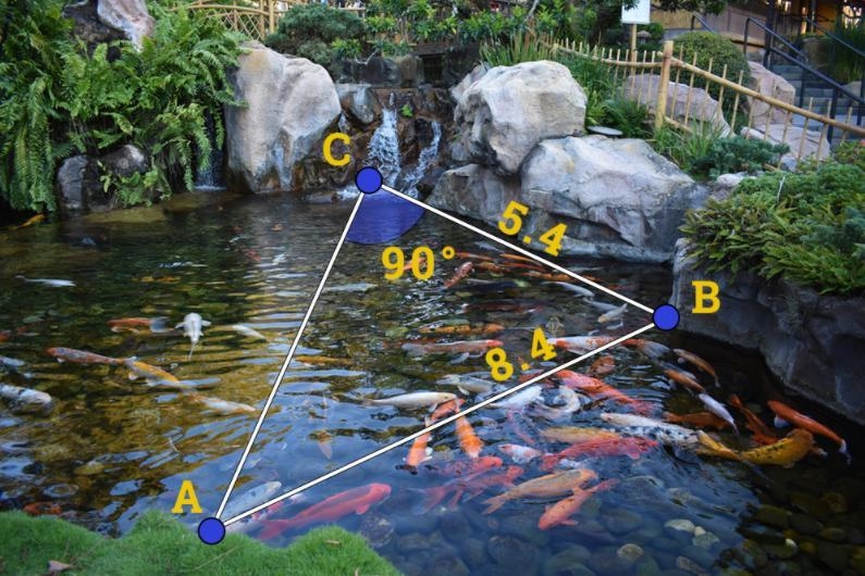 What is the distance from the shore to the waterfall in the image of the koi pond-example-1