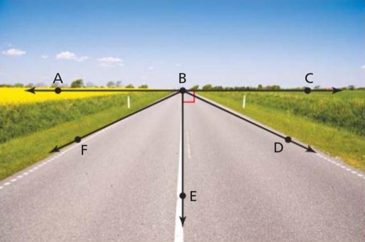 The vanishing point of the picture is represented by point B. A. The measure of B-example-1