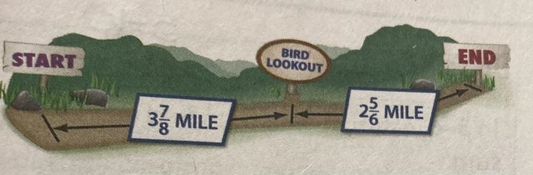 A) What is the distance from the start to the end of the trail? B) Louise walked from-example-1