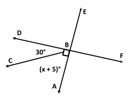 Calculate m∠CBD and m∠ABC, what is the value of x? Enter your answer in the box.-example-1