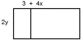 Which expressions are equivalent to the model? Select all that apply. 2y+(3+4x) 2y-example-1