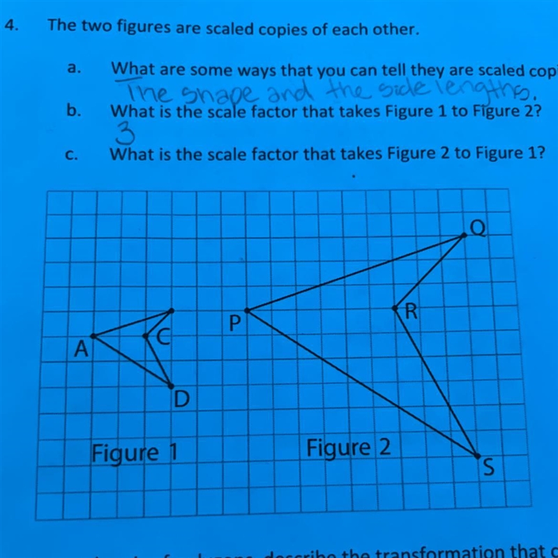 I need the answer to c ‼️‼️-example-1