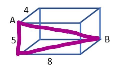 For the following rectangular prism, find the length of the diagonal connecting A-example-1