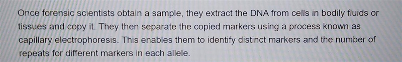 How is dna profiles are built-example-1