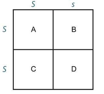 A Punnett Square with Ss on the top and SS on the left side. From left to right and-example-1