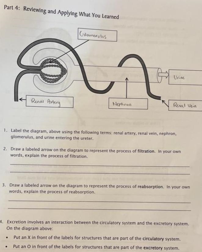 Help me to answer the questions-example-1