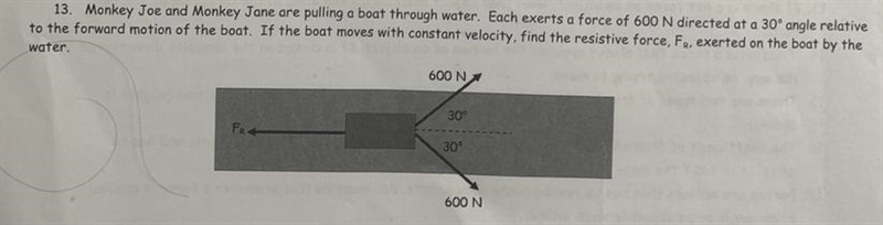 Monkey Joe and Money Jane are pulling a boat through water. Each exerts a force of-example-1