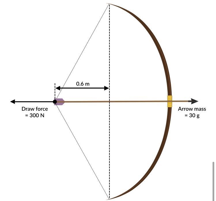 Determine from the following diagram a. The spring constant of the bowb. The Elastic-example-1