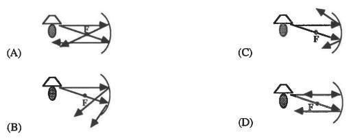 Which picture correctly shows the path of the reflected light rays given an object-example-1