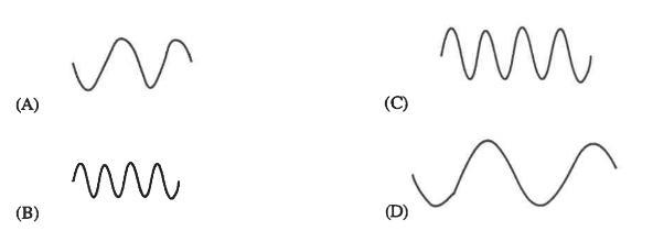 Which picture shows the wave with the smallest wavelength? Select one: a. A b. B c-example-1