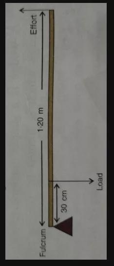 Given : Load = 50 kgf Load arm = 30 cm Effort arm = 1.20m What will be the Mechanical-example-1