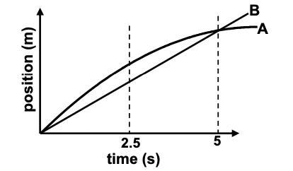 trying to find out if a or b has the greater value of _____ Displacement from t = 0 s-example-1